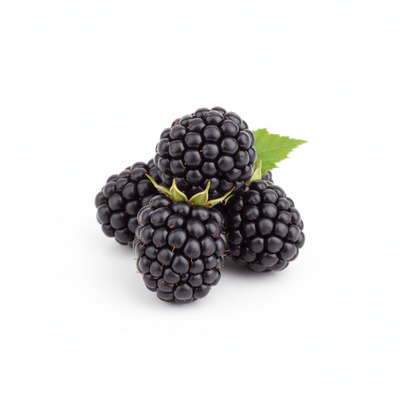 Blackberry Fruit Extract