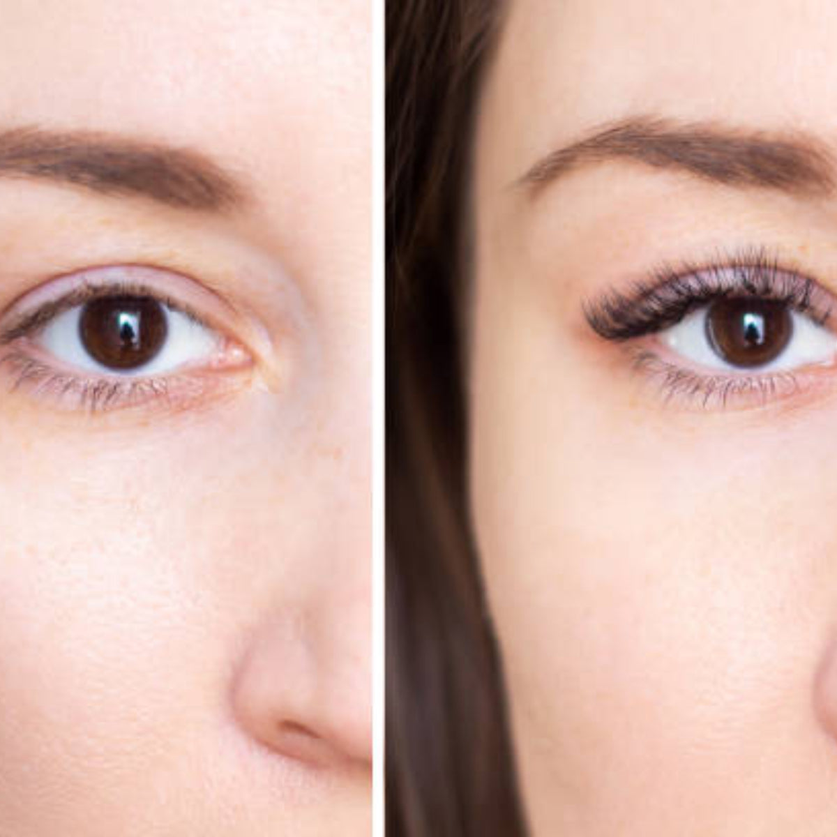 TC BEauty Eyelash growth results