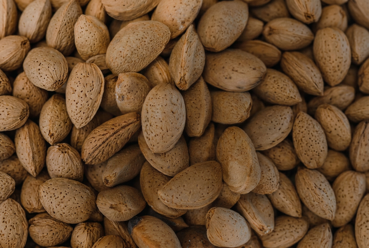  Close-up of whole almonds in textured tan shells