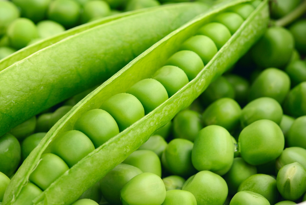 Pea Peptide: The Plant-Based Peptide in Our Volumizing Mascara