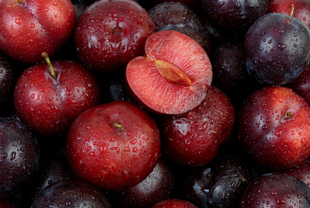 Red and purple plums covered in water droplets, with a halved plum showing pink flesh and its pit.