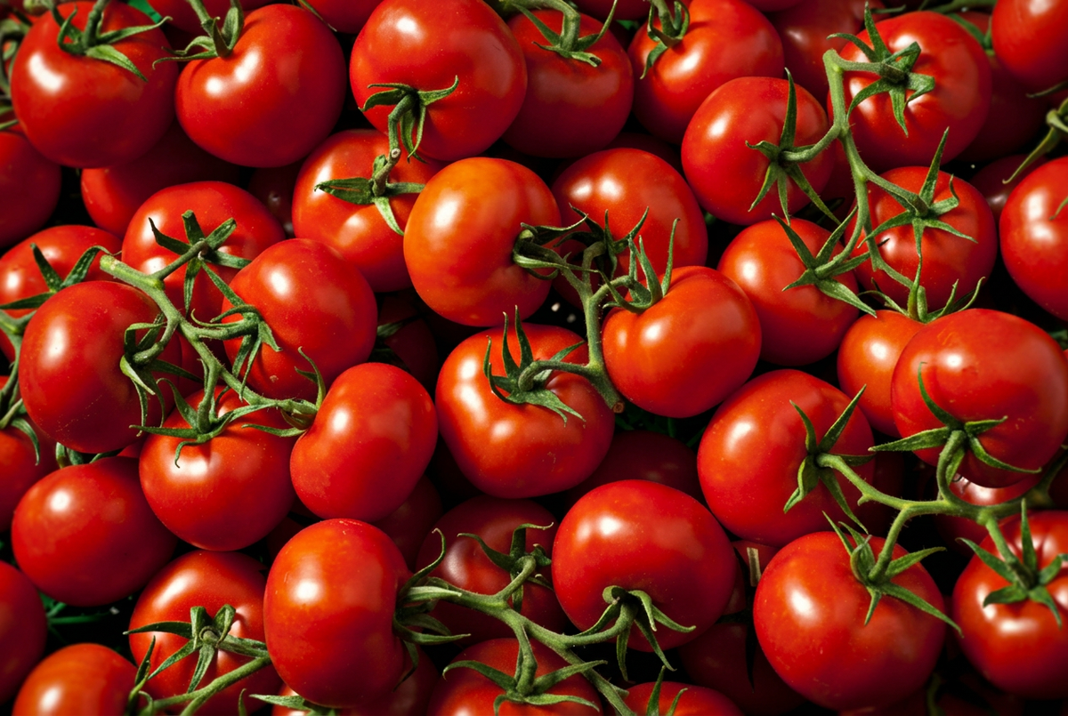 Tomato Fruit Extract: Lycopene Antioxidants for Radiant-Looking Skin