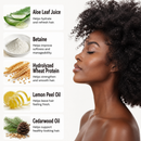 True Gloss Shampoo | Shine | Vegan | Natural