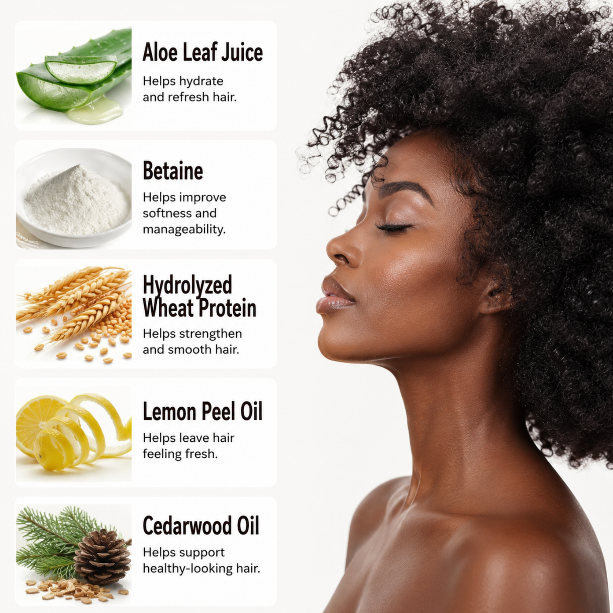True Gloss Shampoo | Shine | Vegan | Natural