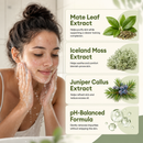 Blemish Care Purifying Face Wash for Clearer Skin - True Colour Beauty