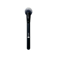 Fan Blush Brush