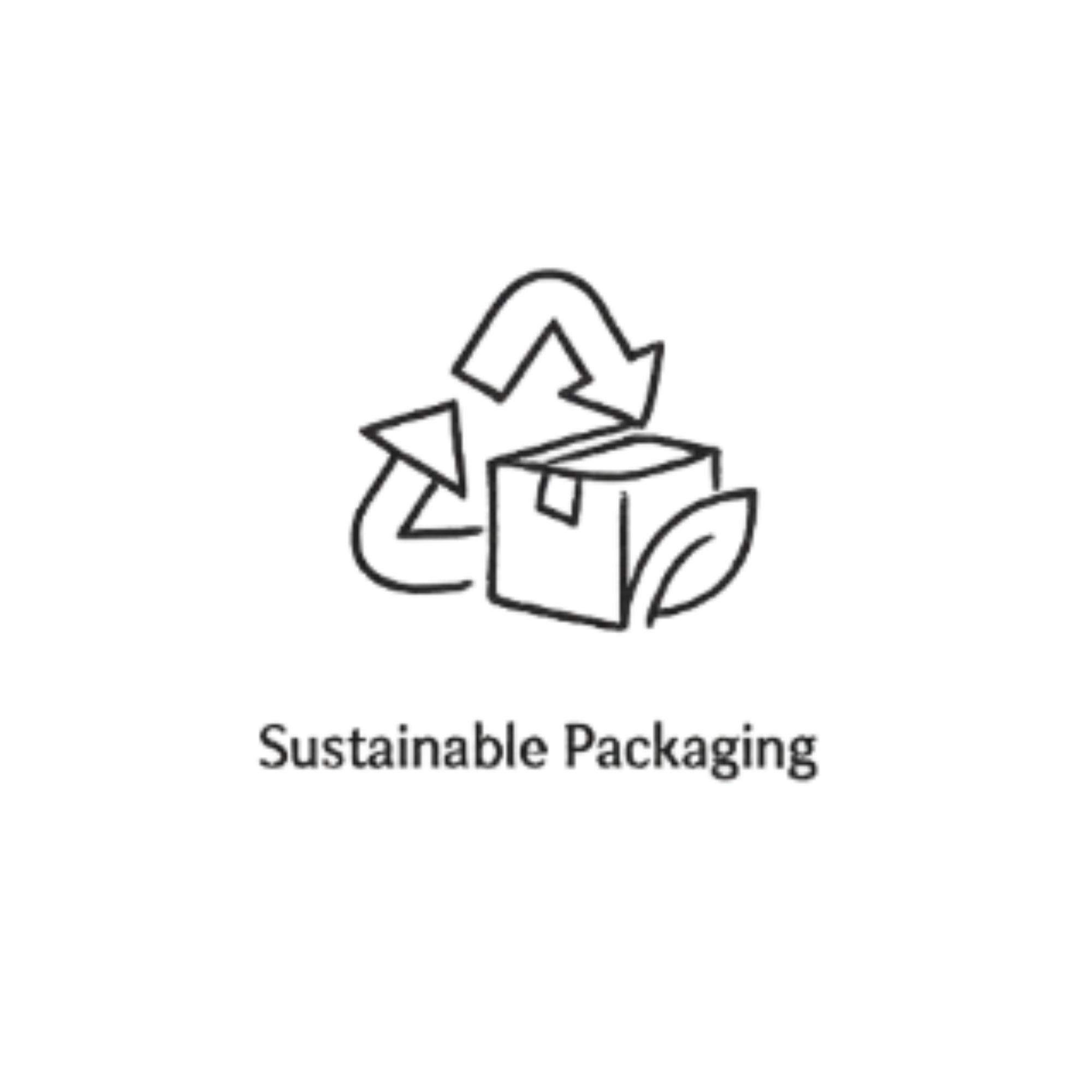 Icon of a box with a recycling symbol and leaf, labeled 'Sustainable Packaging'.