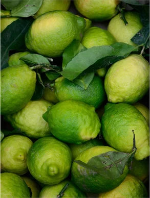 Prebiotics Face Mist