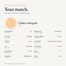 Earthbound Liquid Foundation shade match card for Golden Marigold FK114. Similar shades include Fenty Beauty 235 and 255, MAC C2, Estée Lauder Double Wear 2W1 Dawn and 4W1 Honey Bronze, Maybelline Fit Me Natural Beige 220 and Clinique 44 Tea.