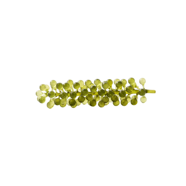 Alteromonas Ferment Extract