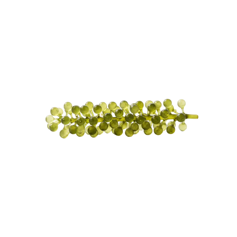 Alteromonas Ferment Extract