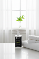 Bathroom counter with plant in window