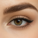 Close-up of a brown eye with well-groomed eyebrow