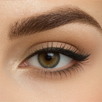 Close-up of a brown eye with well-groomed eyebrow