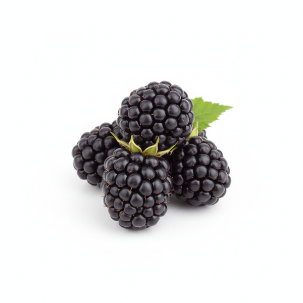 Blackberry Fruit Extract