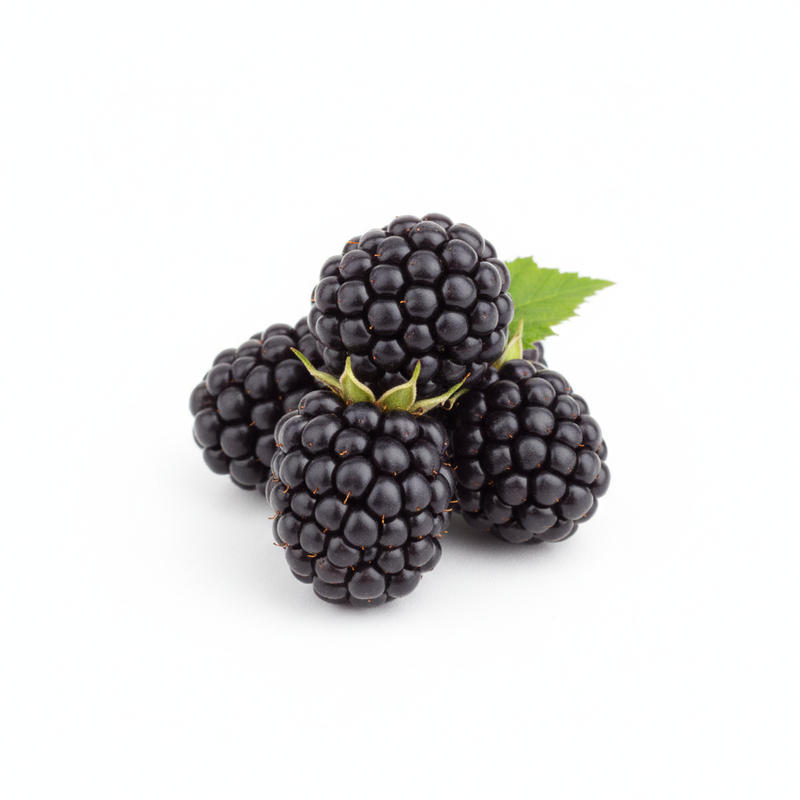 Blackberry Fruit Extract