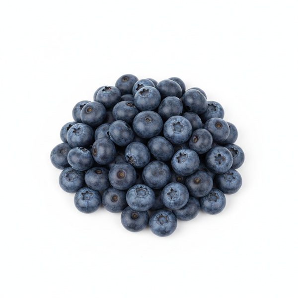 Blueberry Fruit Extract
