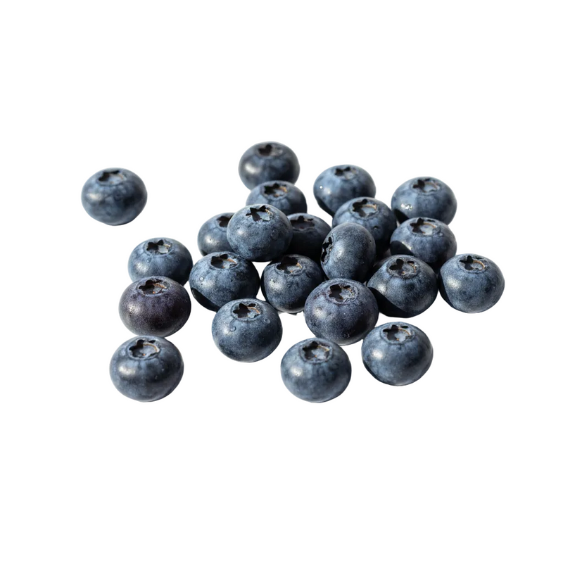Blueberry Seed Oil 