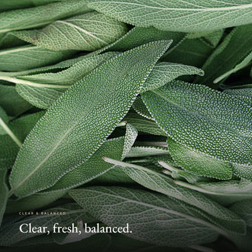 Mood image for the Clear & Balanced Skincare Set