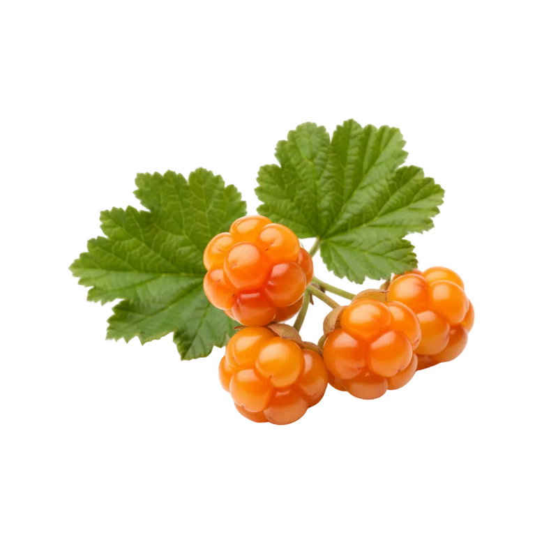 Cloudberry Fruit Extract