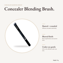 Concealer Blending Brush product details and size