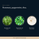 Key ingredients in Deep Cleanse Scalp Scrub – Rosemary & Mint