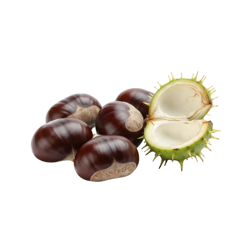 Horse Chestnut Seed Extract