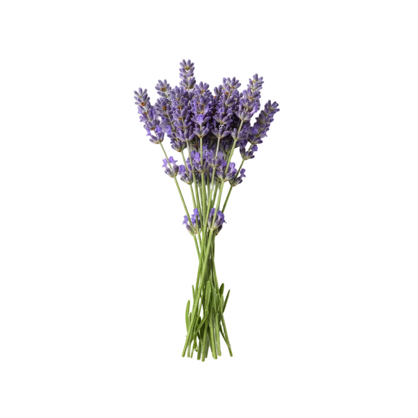 Lavender Flower Water