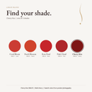 Liquid Blush shade chart with Cherry Kiss selected