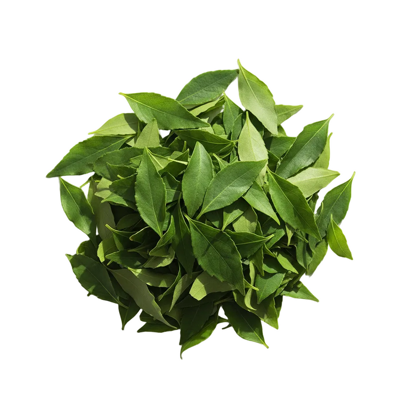Mate Leaf Extract