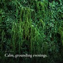 Forest moss close-up, Earthy Moss Candle mood image
