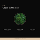Forest moss in a circle, the scent of the Earthy Moss Candle