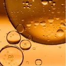 Omega Comfort Body Oil | True Colour Beauty