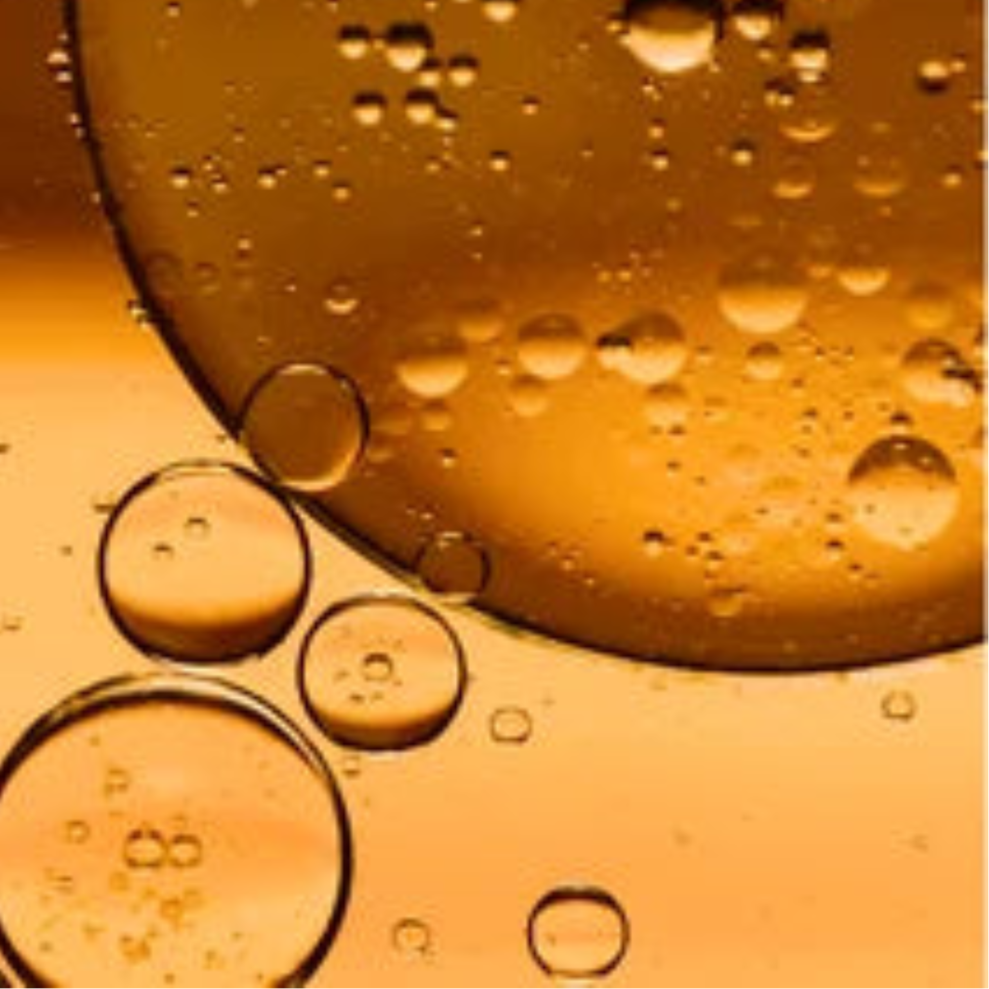 Omega Comfort Body Oil | True Colour Beauty