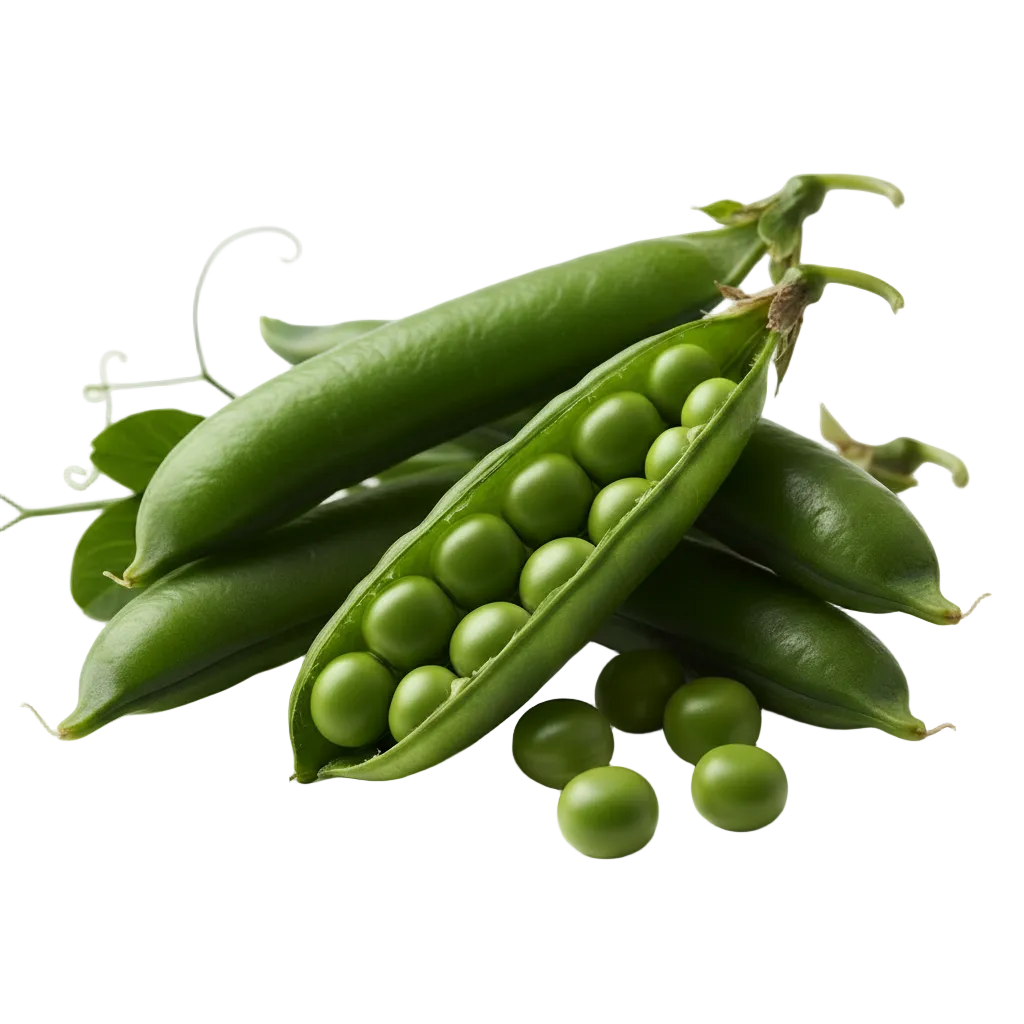 Pea Peptide