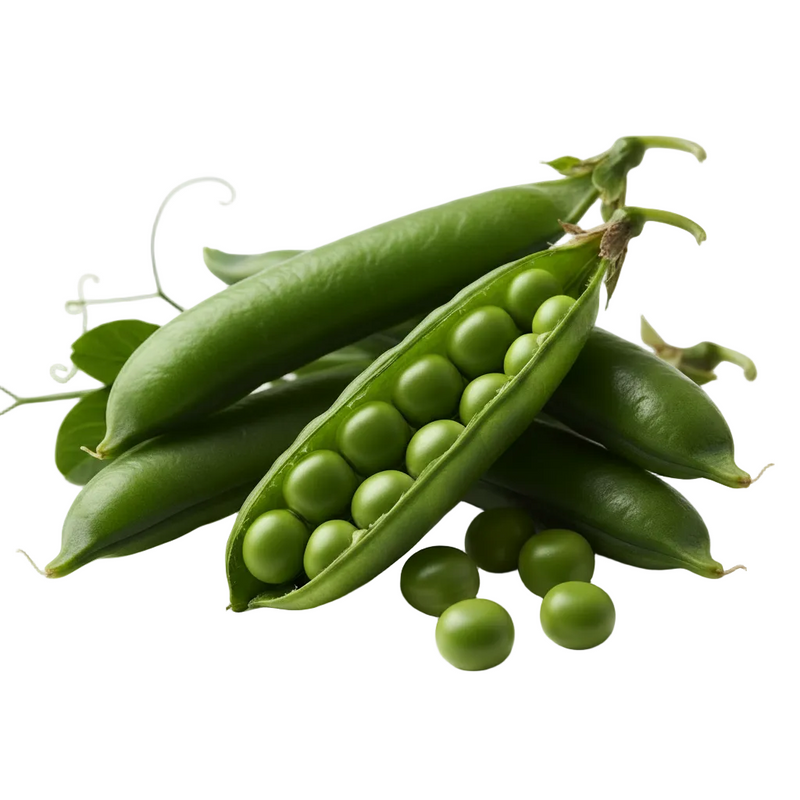Pea Peptide