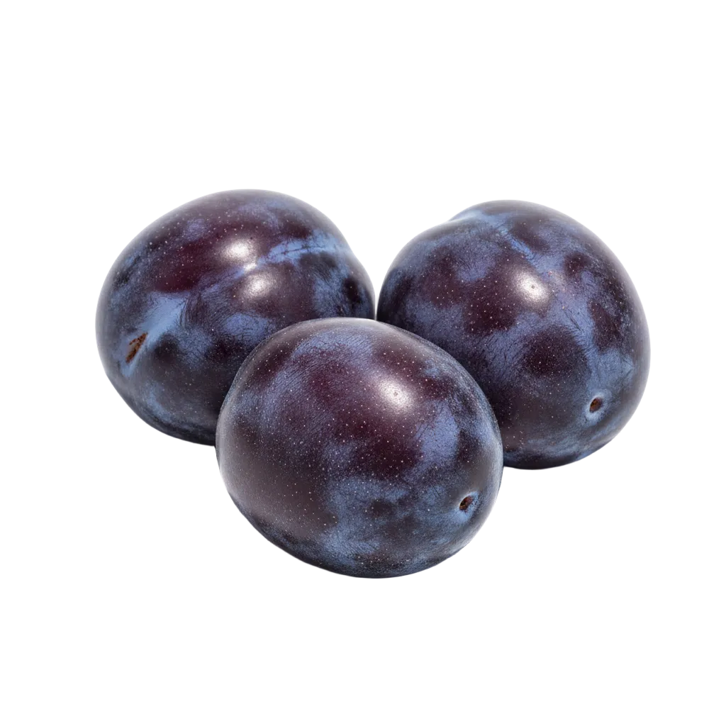 Plum Extract