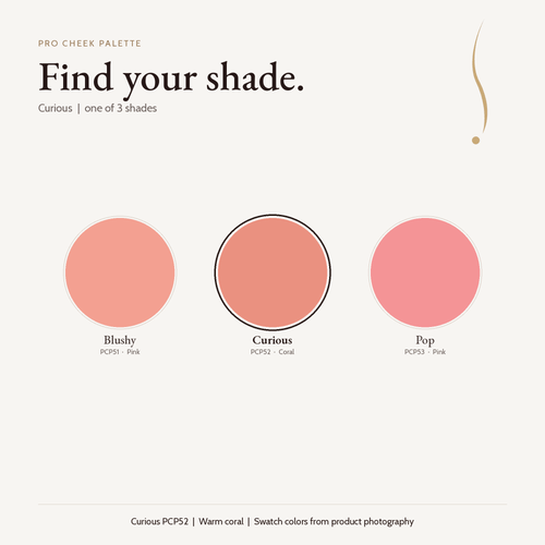 Pro Cheek Palette shade chart with Curious selected