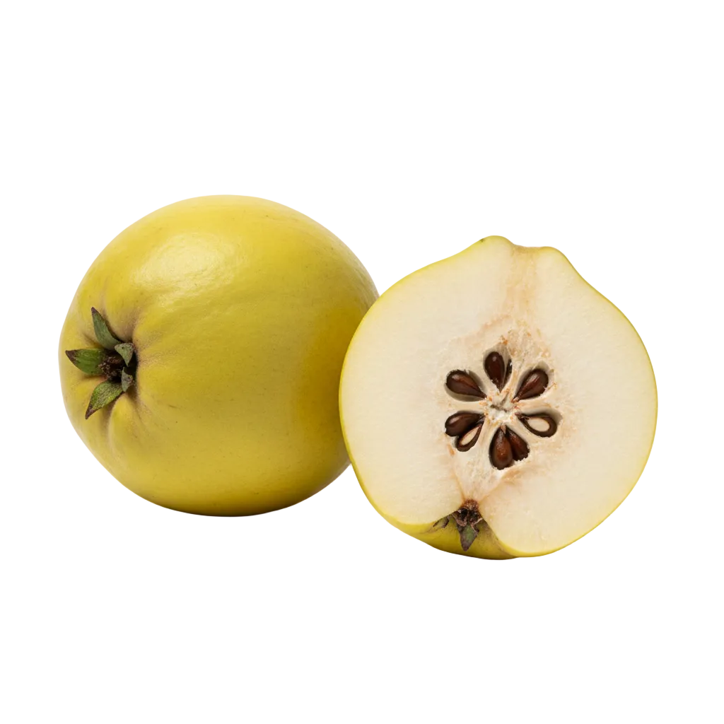 Quince Fruit Extract