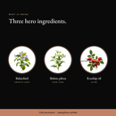 Three hero ingredients in the Retinol Alternative Routine: bakuchiol, bidens pilosa, rosehip oil