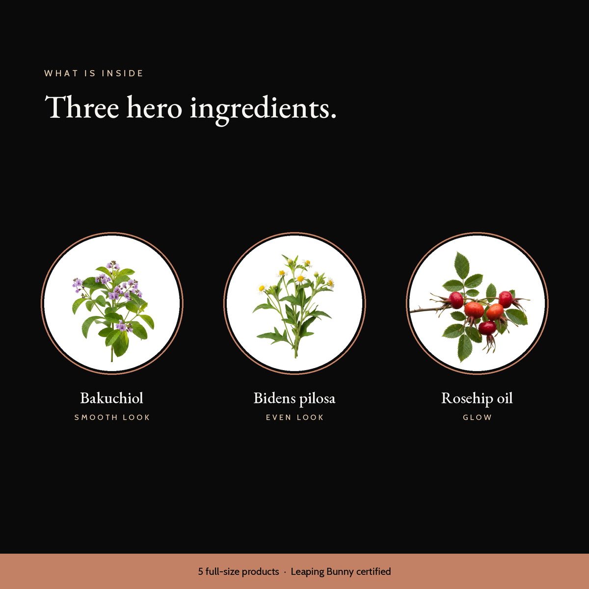 Three hero ingredients in the Retinol Alternative Routine: bakuchiol, bidens pilosa, rosehip oil