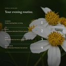 Evening routine with the Retinol Alternative Routine