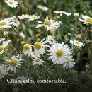 Clean, calm, comfortable mood image for BiPhasic Make-up Remover