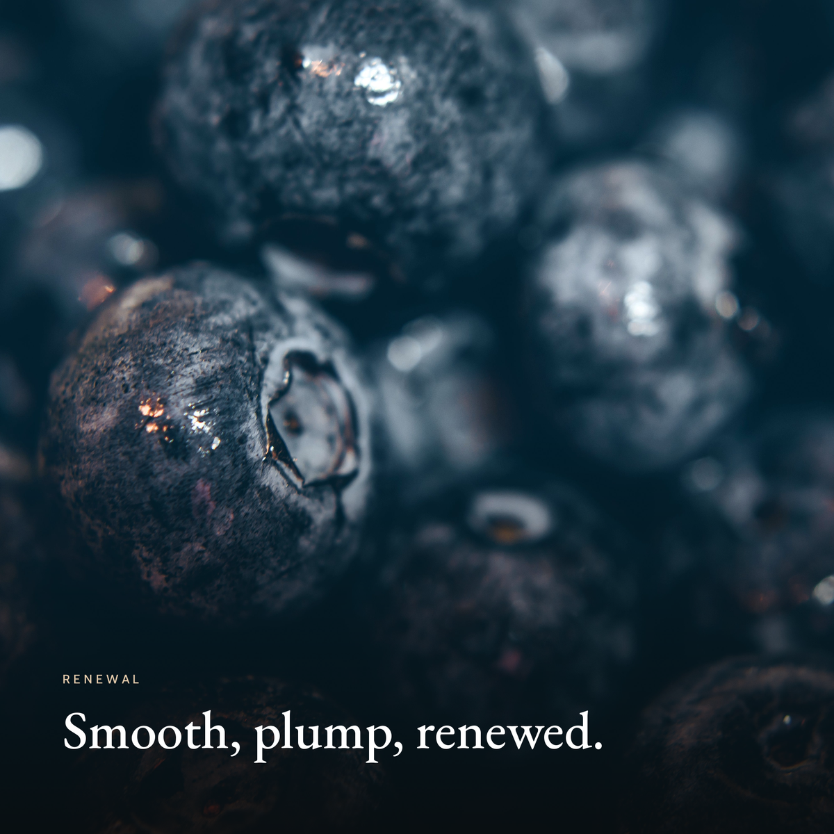 Smooth, plump, renewed mood image for Complete Renewal Trio