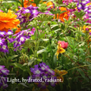 Light, hydrated, radiant mood image for Prebiotics Jelly Serum