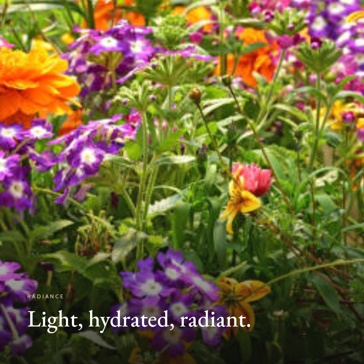Light, hydrated, radiant mood image for Prebiotics Jelly Serum