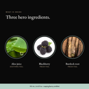 Three hero ingredients in Purifying Mousse Cleanser: aloe juice, blackberry, burdock root