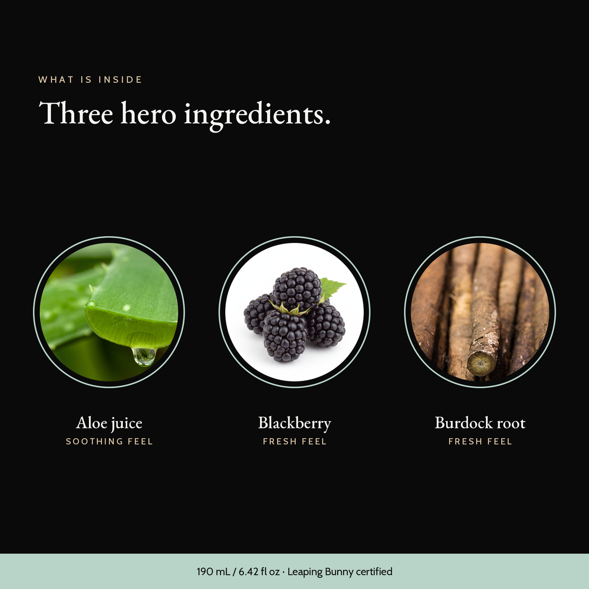 Three hero ingredients in Purifying Mousse Cleanser: aloe juice, blackberry, burdock root