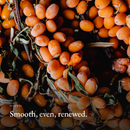 Smooth, even, renewed mood image for Natural Retinol Alternative Oil Serum