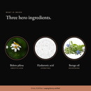 Three hero ingredients in Retinol Alternative Eye Serum: bidens pilosa, hyaluronic acid, borage oil